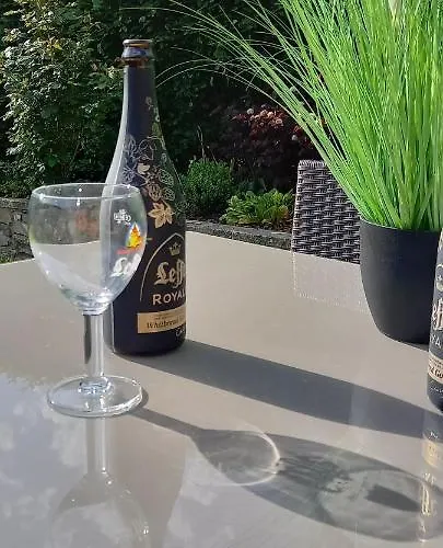 Le Gai Pinson Hébergement de vacances Beausaint