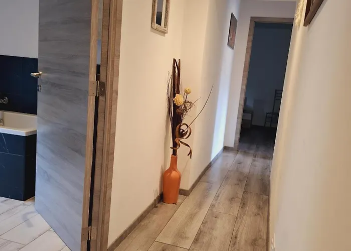 Le Gai Pinson Hébergement de vacances Beausaint